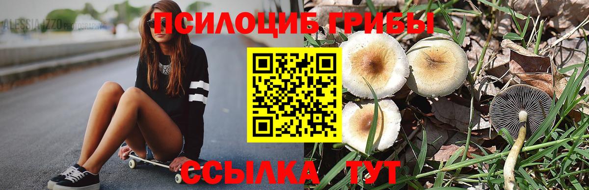 Псилоцибиновые грибы мухоморы  Вход с VPN  Севастополь  Псилоцибиновые грибы мицелий 
